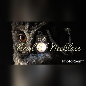 COPY - 🦉~Owl clock Necklace
